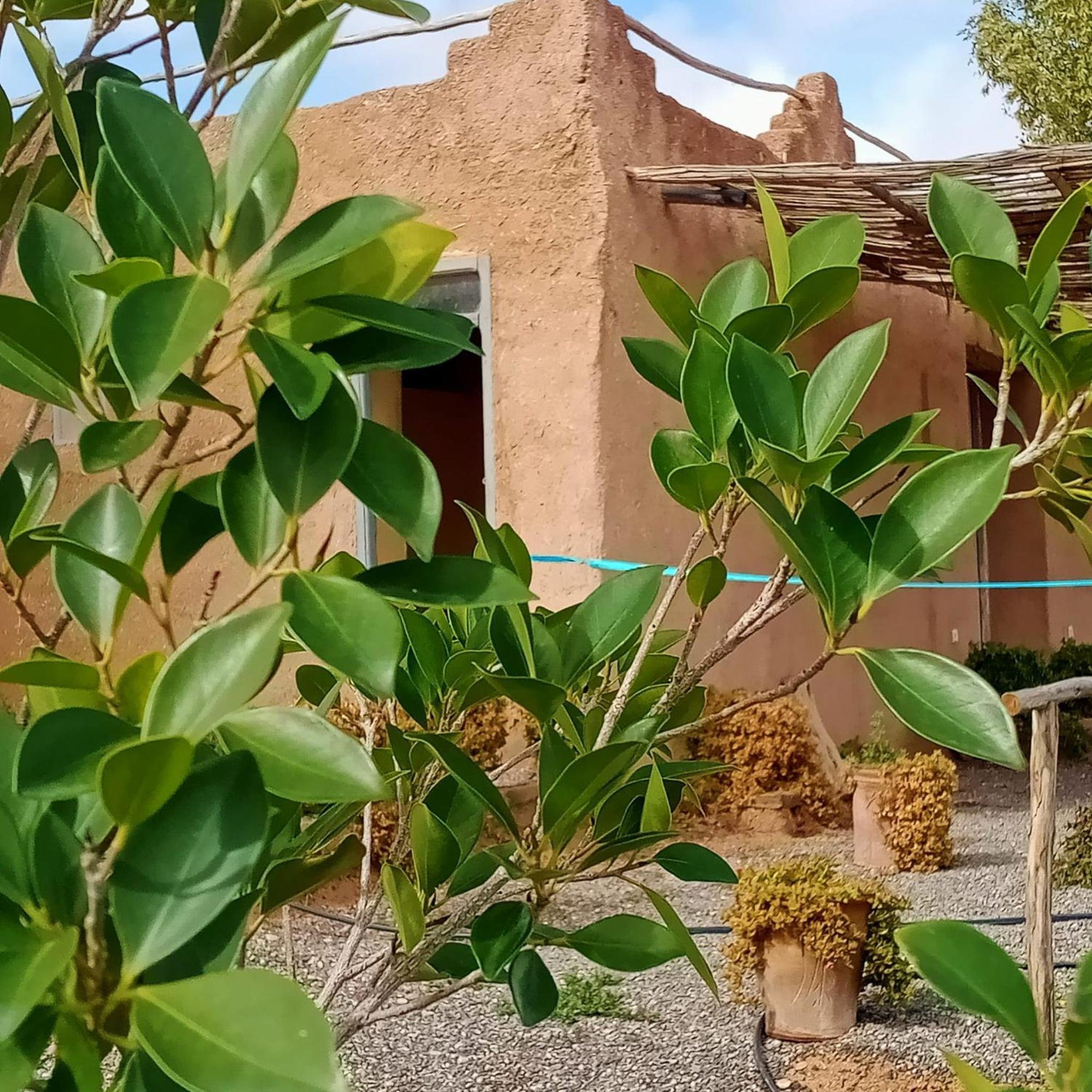 Hotel Ngayan Camp Taïzelt Esterno foto