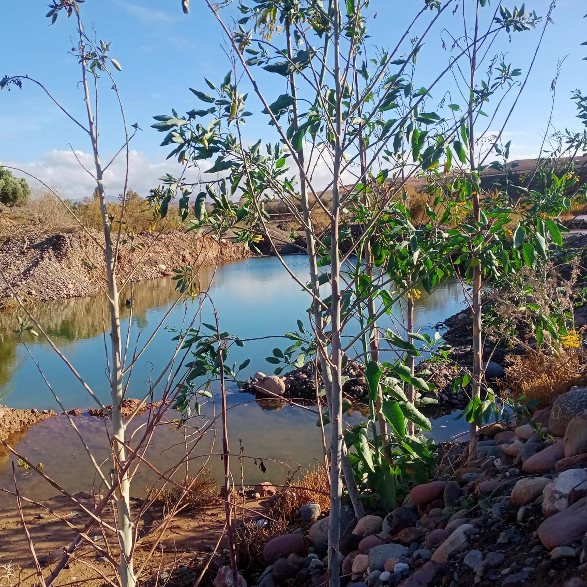Hotel Ngayan Camp Taïzelt Esterno foto