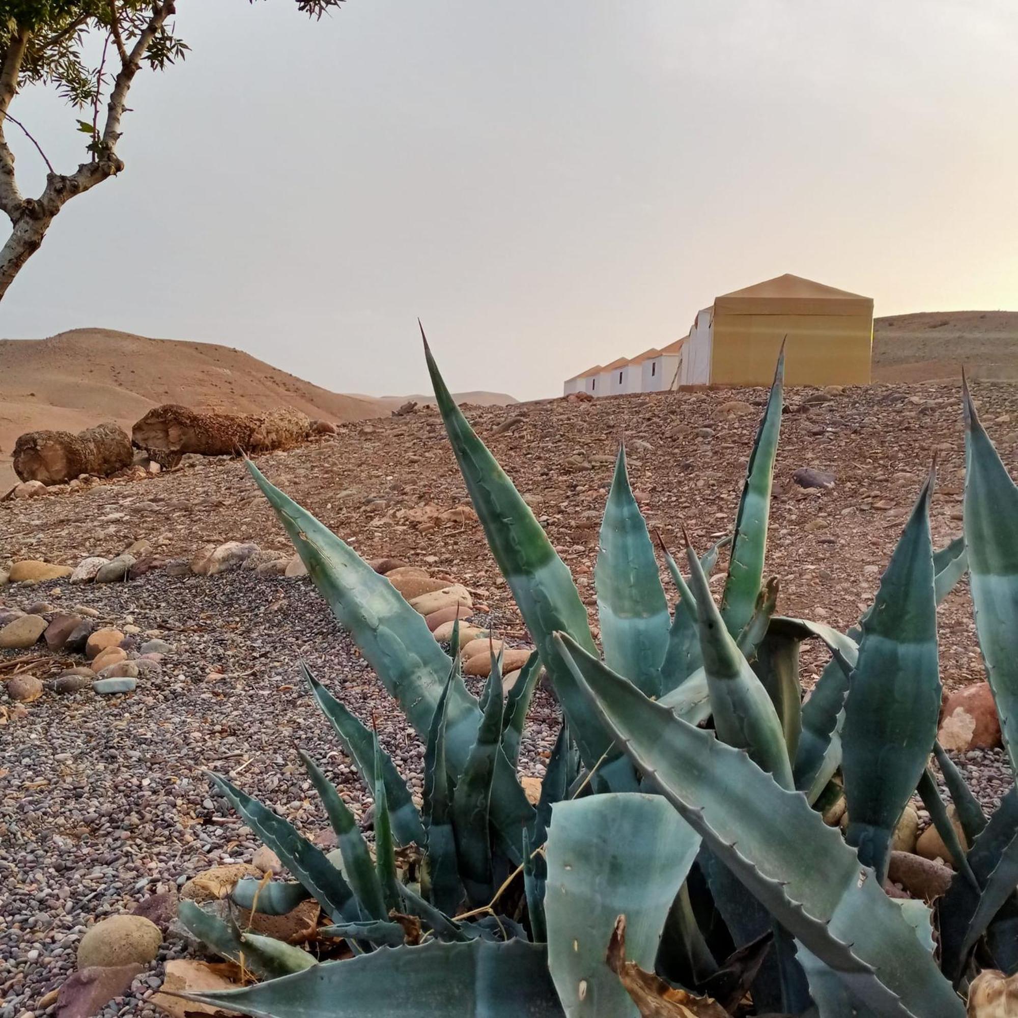 Hotel Ngayan Camp Taïzelt Esterno foto